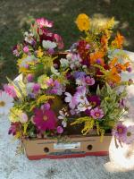 Summer Solstice Flower Share June 18 to Aug 6